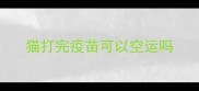 猫打完疫苗可以空运吗