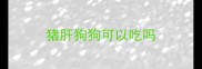 猪肝狗狗可以吃吗