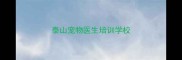 泰山宠物医生培训学校