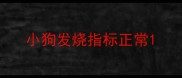 小狗发烧指标正常