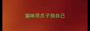 猫咪用爪子挠自己