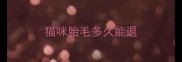 猫咪胎毛多久能退