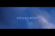 拉布拉多大便形状