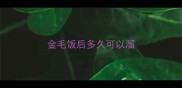 金毛饭后多久可以溜