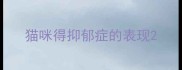猫咪得抑郁症的表现