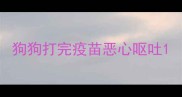 狗狗打完疫苗恶心呕吐