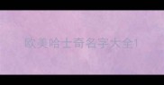欧美哈士奇名字大全
