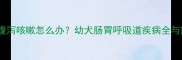 五个月大幼犬腹泻咳嗽怎么办幼犬肠胃呼吸道疾病全与家庭护理指南