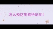 怎么预防狗狗得脑炎