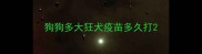 狗狗多大狂犬疫苗多久打