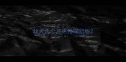 幼犬几个月不用喝奶粉