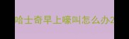 哈士奇早上嚎叫怎么办