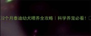 2个月泰迪幼犬喂养全攻略科学养宠必看
