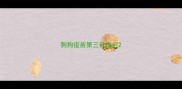狗狗疫苗第三针推迟