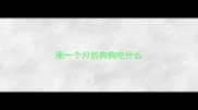 刚一个月的狗狗吃什么
