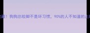 养狗人必收藏狗狗总咬脚不是坏习惯90的人不知道的止咬秘诀在这