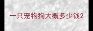 一只宠物狗大概多少钱