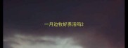 一月边牧好养活吗
