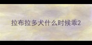 拉布拉多犬什么时候乖