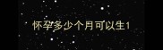 怀孕多少个月可以生