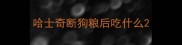 哈士奇断狗粮后吃什么