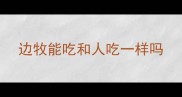 边牧能吃和人吃一样吗