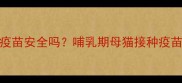 哺乳期猫咪打疫苗安全吗哺乳期母猫接种疫苗的注意事项全