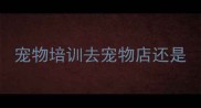 宠物培训去宠物店还是