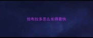 拉布拉多怎么长得最快