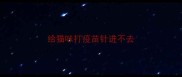 给猫咪打疫苗针进不去