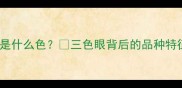 哈士奇鸳鸯眼是什么色三色眼背后的品种特征与养护指南