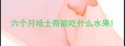 六个月哈士奇能吃什么水果