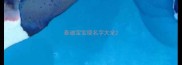 泰迪宝宝取名字大全