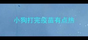 小狗打完疫苗有点热