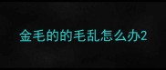 金毛的的毛乱怎么办
