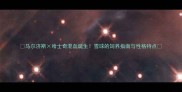 马尔济斯哈士奇混血诞生雪球的饲养指南与性格特点