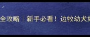 边牧幼犬精力爆炸期全攻略新手必看边牧幼犬如何消耗旺盛精力