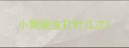 小狗驱虫打针几次