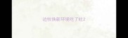 边牧换新环境吃了吐