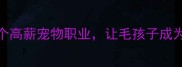 月入过万这8个高薪宠物职业让毛孩子成为你的事业伙伴