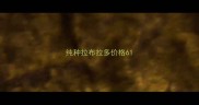 纯种拉布拉多价格6