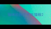 猫咪拉肚子不吃猫粮