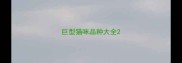 巨型猫咪品种大全