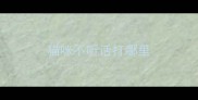 猫咪不听话打哪里
