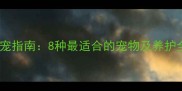 家庭养宠指南8种最适合的宠物及养护全攻略