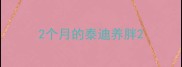 2个月的泰迪养胖