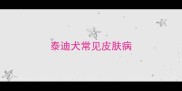 泰迪犬常见皮肤病