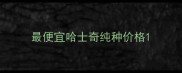 最便宜哈士奇纯种价格