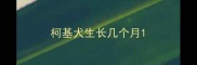 柯基犬生长几个月