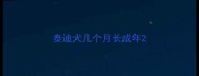 泰迪犬几个月长成年